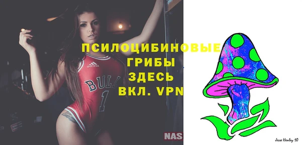 трава Арсеньев