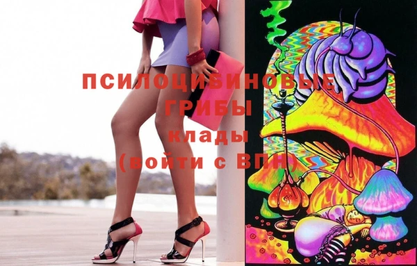 ГАЛЛЮЦИНОГЕННЫЕ ГРИБЫ Армянск