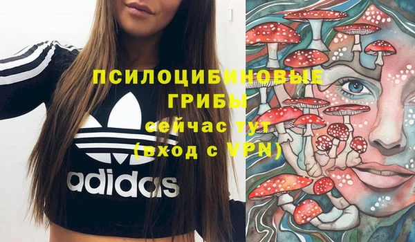 ГАЛЛЮЦИНОГЕННЫЕ ГРИБЫ Армянск
