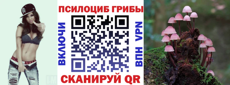 Галлюциногенные грибы Magic Shrooms  Губкин 